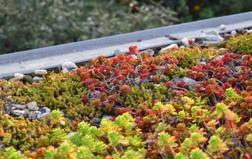 the cost of Lindores green roof installation