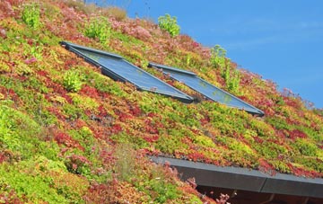 Lindores living roof systems