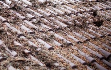 Lindores roof cleaning companies