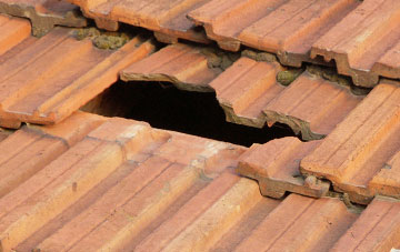 roof repair Lindores, Fife
