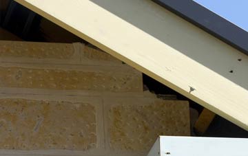 soffit repair Lindores