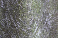 Lindores fibreglass roof work